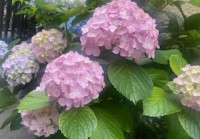 image0_271.jpeg