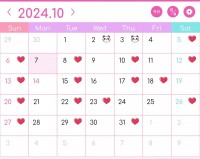Screenshot_20241007-123021_KawaiiCalendar.jpg