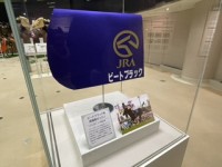 Image_5.jpeg