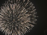 image1_2.jpeg