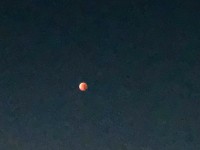 image0_23.jpeg