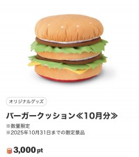 image0_48.jpeg