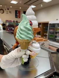 image1_3.jpeg