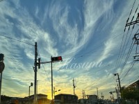 image0_32.jpeg