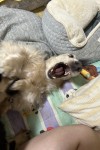 IMG_0769.jpeg