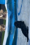 IMG_7624.jpeg