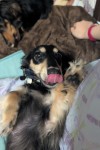 IMG_8122.jpeg
