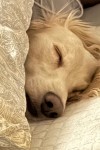 IMG_8448.jpeg
