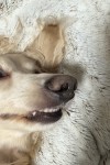 IMG_8716.jpeg