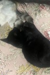 IMG_3851.jpeg
