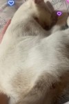 IMG_3986.jpeg