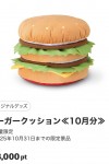 image0_48.jpeg