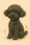 DAB78535-B940-4F4E-A3E7-9FF132078047.PNG